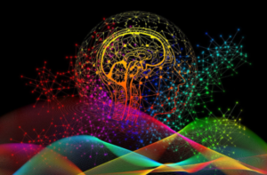 Brain Image with Various Colors